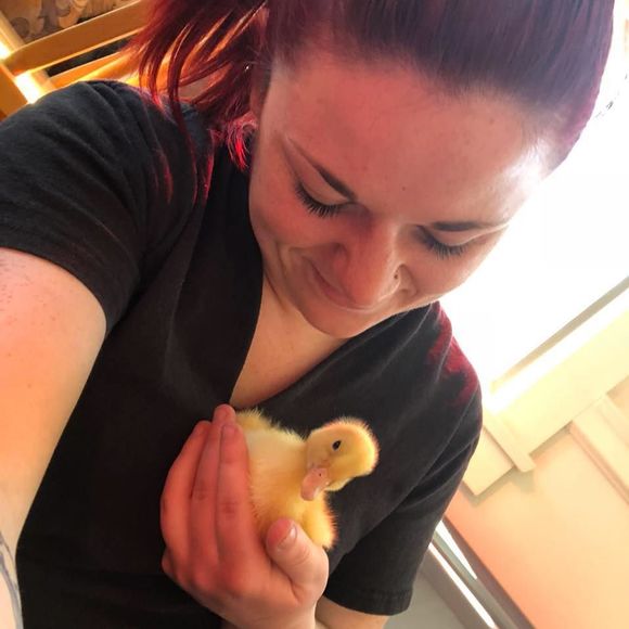 Meet your Posher, Steph - Picture 1 of 1